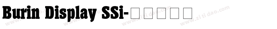 Burin Display SSi字体转换